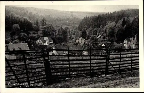 Ak Fohlenplacken Neuhaus im Solling Holzminden Niedersachsen, Pensionshaus H. Düwel