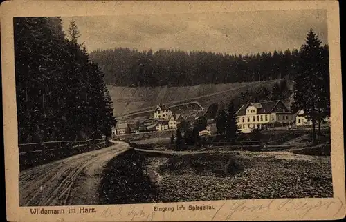 Ak Wildemann Clausthal Zellerfeld im Oberharz, Eingang im Spiegeltal
