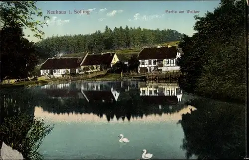 Ak Neuhaus im Solling Holzminden Niedersachsen, Weiherpartie