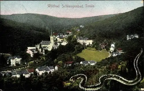 Ak Schlangenbad im Taunus Hessen, Totalansicht