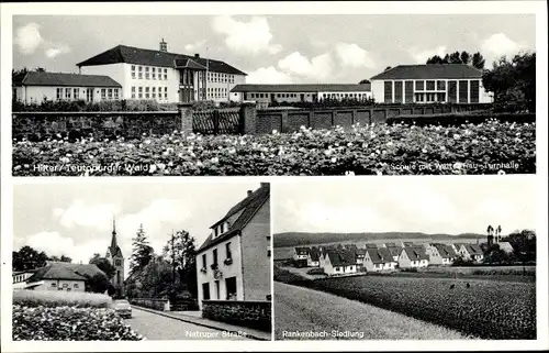 Ak Hilter am Teutoburger Wald, Schule, Natruper Straße, Rankenbach Siedllung