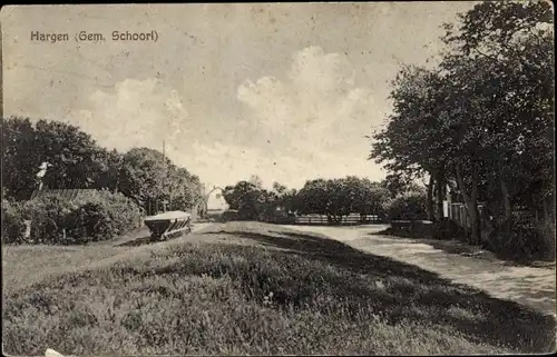 Ak Hargen aan Zee Schoorl Nordholland Niederlande, Ortspartie, Landstraße, Bäume