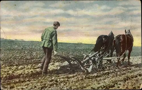 Ak Photochromie, Bauer mit Pferdepflug auf dem Feld