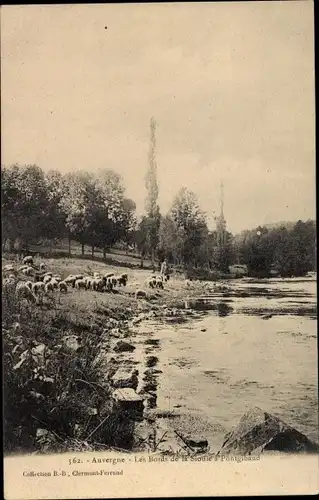 Ak Pontgibaud Puy de Dôme, Les Bords de la Sioule, Schafe