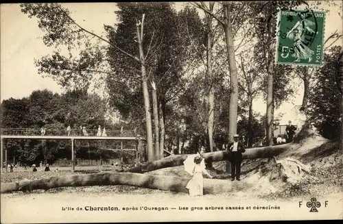 Ak Charenton Hauts de Seine, Apres l'Ouragan, Gros arbres cassés, déracines