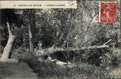 Ak Creteil Saint Maurice Hauts de Seine, L´Arbre penehé