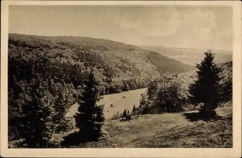 Ak Fohlenplacken Neuhaus im Solling Holzminden Niedersachsen, Holzmindetal von der Horpeule