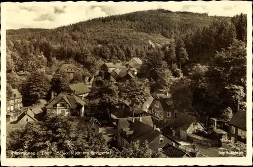 Ak Elgersburg in Thüringen, Steigertal