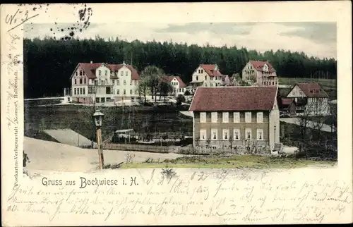 Ak Hahnenklee Bockswiese Goslar im Harz, Hotel Kurhaus, Teilansicht