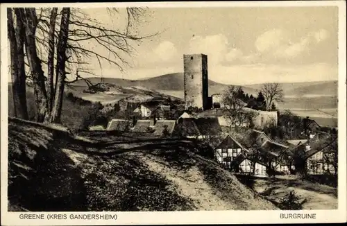 Ak Greene Einbeck in Niedersachsen,  Burgruine, Panorama