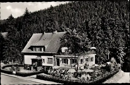 Ak Wildemann Clausthal Zellerfeld im Oberharz, Blick auf Cafe und Pension Sonnenhügel, Wald