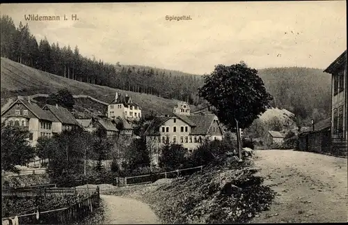 Ak Wildemann Clausthal Zellerfeld im Oberharz, Spiegeltal, Teilansicht
