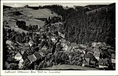 Ak Wildemann Clausthal Zellerfeld im Oberharz, Blick ins Innerste Tal