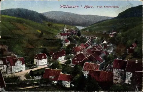 Ak Wildemann Clausthal Zellerfeld im Oberharz, Blick vom Schöneberg