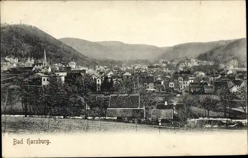 Ak Bad Harzburg am Harz, Gesamtansicht