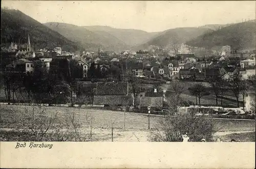 Ak Bad Harzburg am Harz, Gesamtansicht