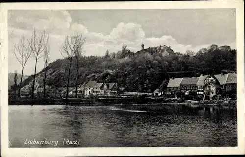 Ak Liebenburg b. Braunlage Kr. Goslar Harz, Teich