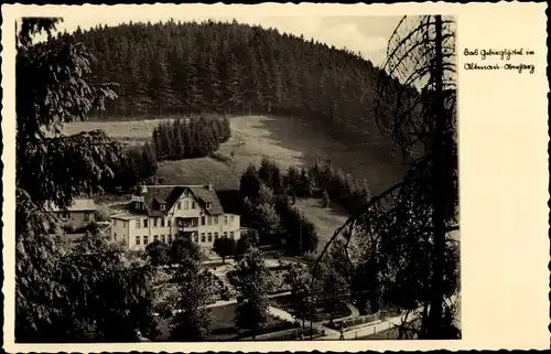 Ak Altenau Clausthal Zellerfeld im Oberharz, Gebirgshotel, Wald