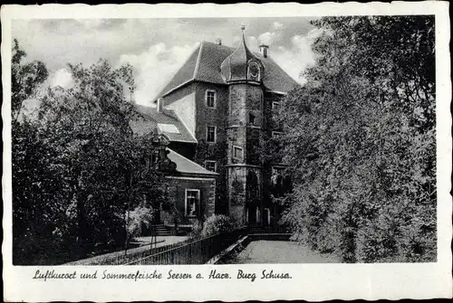 Ak Seesen am Harz, Burg Schusa.