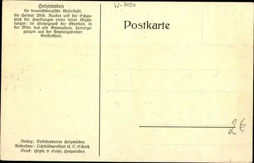 Ak Holzminden in Niedersachsen, Blick zum Ort