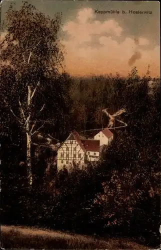 Ak Dresden Hosterwitz, Keppmühle, Wald