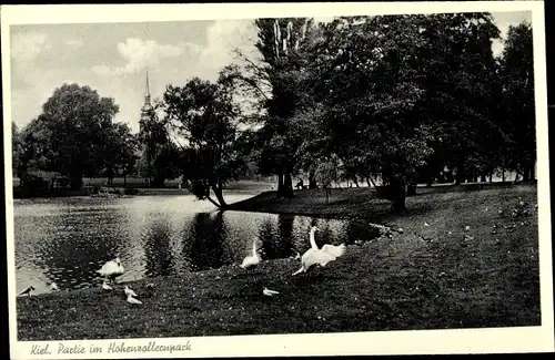 Ak Kiel in Schleswig Holstein, Schwäne im Hohenzollernpark