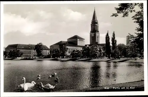 Ak Hansestadt Kiel, Partie mit Rathaus u. Stadttheater, Schwäne