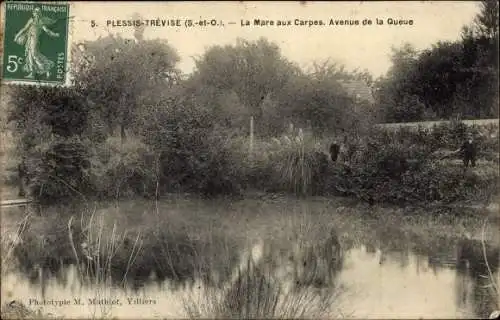 Ak Plessis Trévise Hauts de Seine, Mare aux Carpes, Avenue de la Queue