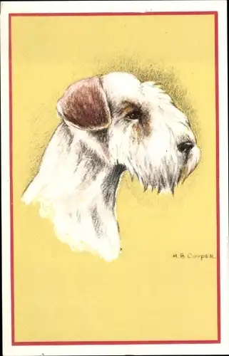 Künstler Ak Cooper, M. B., Schnauzer, Hundeportrait