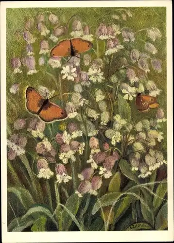 Künstler Ak Nymphalidae, Coenonympha pamphilus L., Kleiner Heufalter