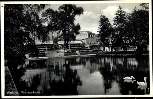 Ak Weimar in Thüringen, Weimarhalle, Schwäne