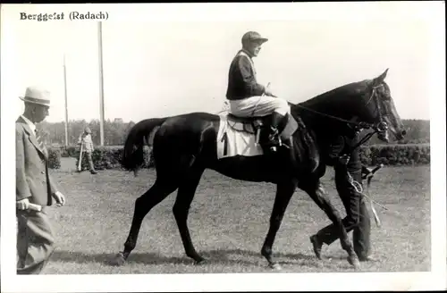 Ak Rennpferd Berggeist, Jockey Radach