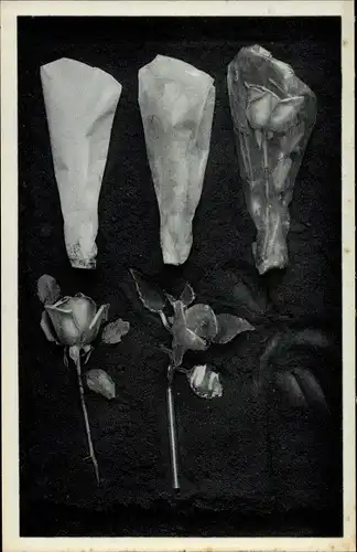 Künstler Ak Breton, Jacqueline, Bridge of drowsiness