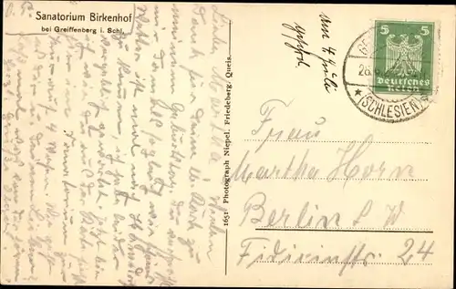 Ak Gryfów Śląski Greiffenberg Schlesien, Sanatorium Birkenhof, Burgruine, Parkansicht