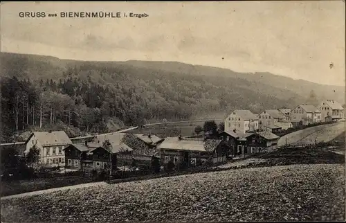 Ak Rechenberg Bienenmühle Erzgebirge, Panorama