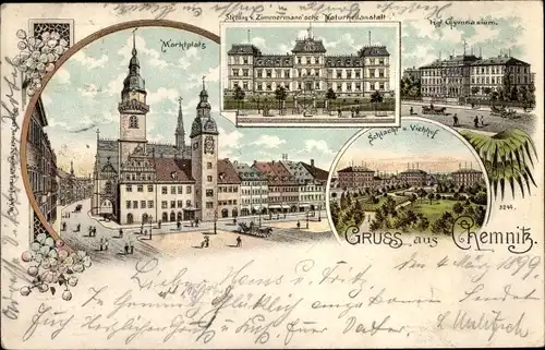 Litho Chemnitz Sachsen, Marktplatz, Gymnasium, Schlachthof, Naturheilanstalt