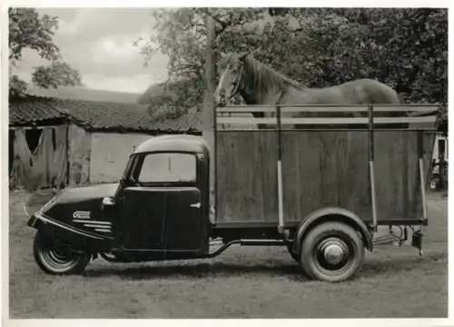 Foto Fahrzeug Firma Vidal Harburg, Goliath, Großvieh-Transportwagen
