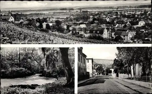 Ak Laubenheim, Teilansichten, Straßenpartie, Partie am Teich, Panorama