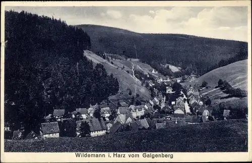 Ak Wildemann Clausthal Zellerfeld im Oberharz, Blick auf die Ortschaft vom Galgenberg, Wald, Berge