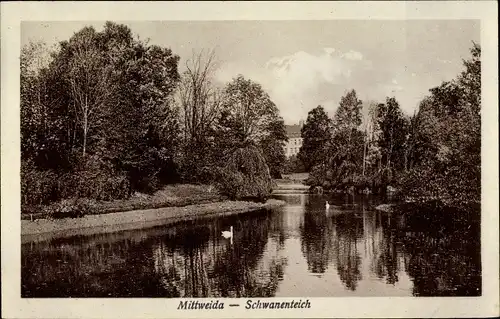 Ak Mittweida in Sachsen, Schwanenteich