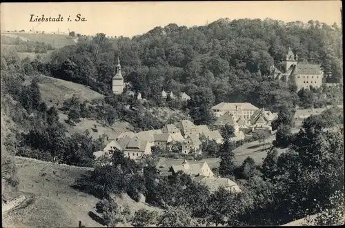 Ak Liebstadt Erzgebirge Sachsen, Panorama