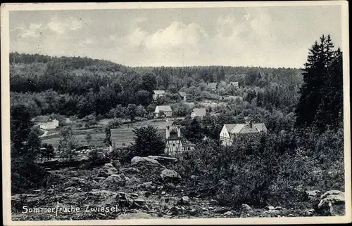 Ak Zwiesel Berggießhübel in Sachsen, Panorama