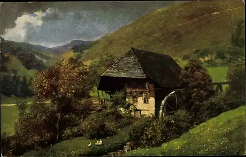 Künstler Ak Hoffmann, H., Wassermühle, Landschaft im Schwarzwald, Gänse