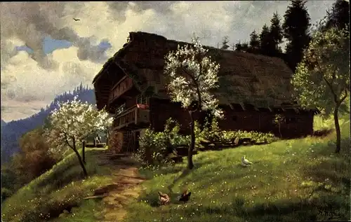Künstler Ak Hoffmann, H., Frühling im Schwarzwald, Bauernhaus