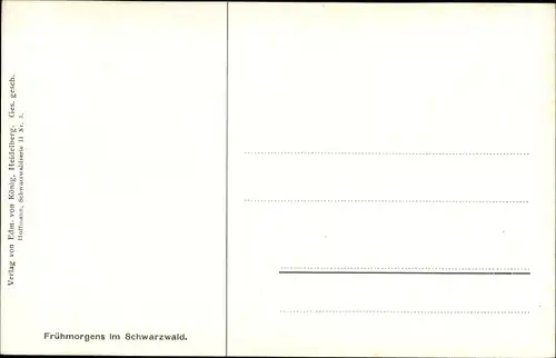 Künstler Ak Hoffmann, H., Frühmorgens im Schwarzwald