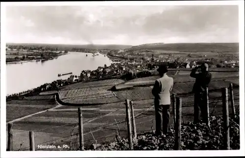 Ak Nierstein am Rhein, Panorama