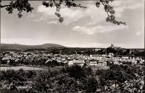 Ak Kelkheim im Taunus, Panorama