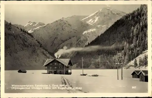 Ak Tannheim in Tirol, Alpengasthof Vilsalpe, Kugelhorn