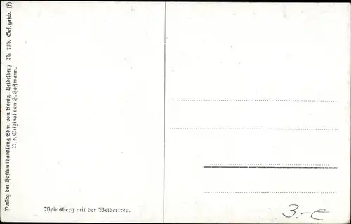 Künstler Ak Hoffmann, H., Weinsberg im Kreis Heilbronn, Blick auf Ort mit Weibertreu