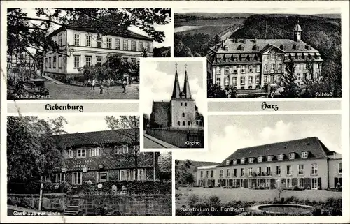 Ak Liebenburg am Harz, Schloss, Sanatorium Dr. Fontheim, Gasthaus zur Linde, Schullandheim